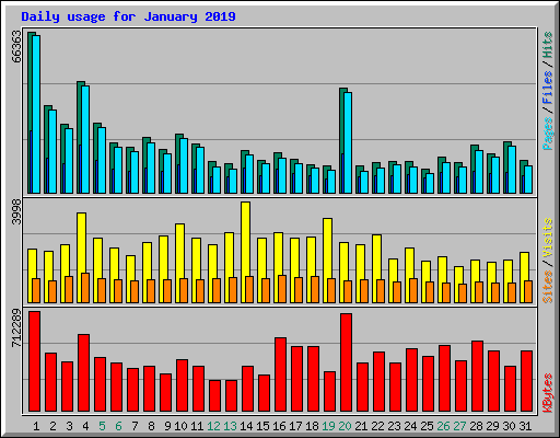Daily usage for January 2019