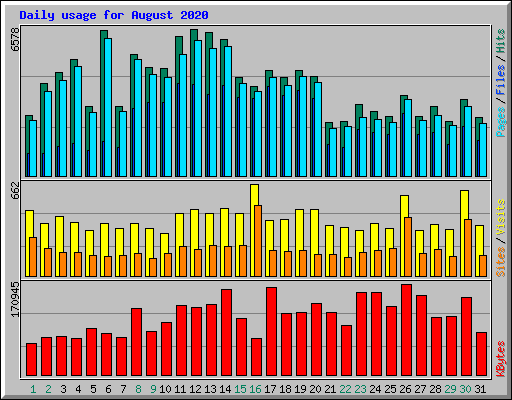 Daily usage for August 2020