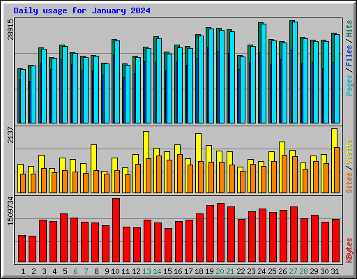 Daily usage for January 2024