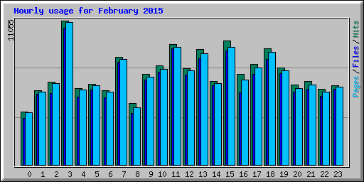 Hourly usage for February 2015