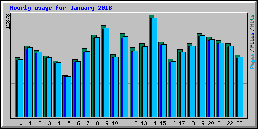 Hourly usage for January 2016