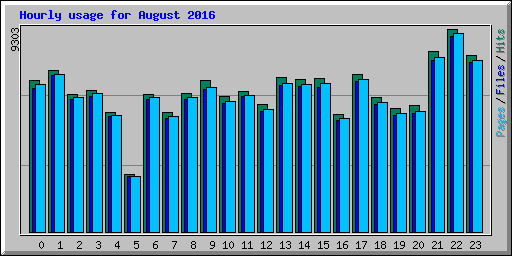 Hourly usage for August 2016
