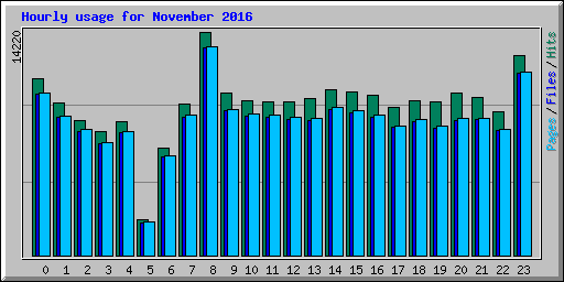 Hourly usage for November 2016