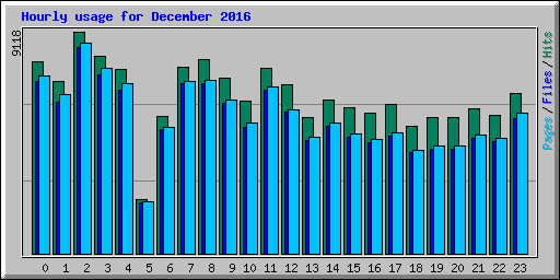 Hourly usage for December 2016
