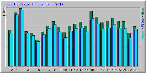Hourly usage for January 2017