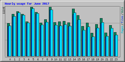 Hourly usage for June 2017
