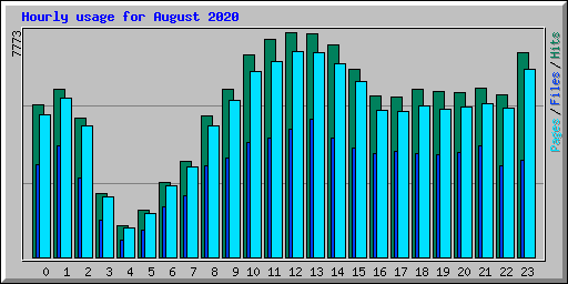 Hourly usage for August 2020