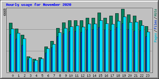 Hourly usage for November 2020