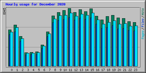 Hourly usage for December 2020