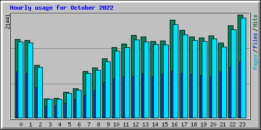Hourly usage for October 2022