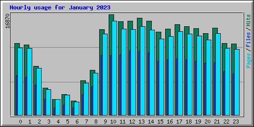 Hourly usage for January 2023