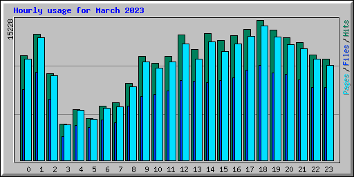 Hourly usage for March 2023