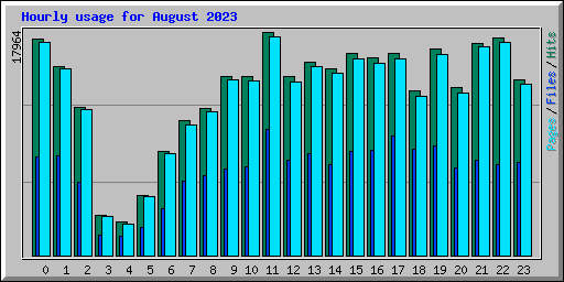 Hourly usage for August 2023