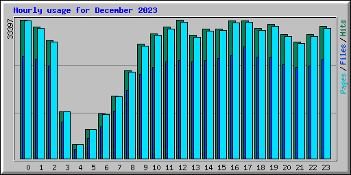 Hourly usage for December 2023
