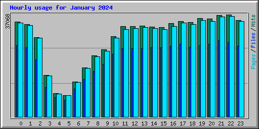Hourly usage for January 2024