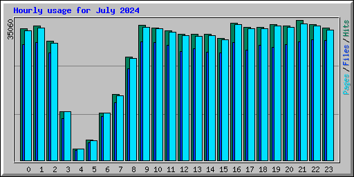 Hourly usage for July 2024