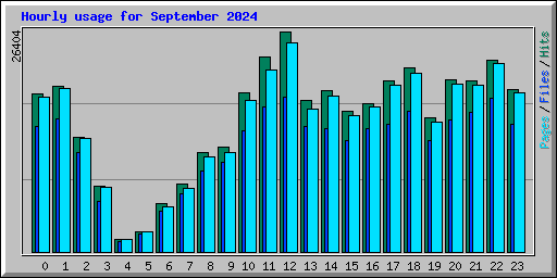 Hourly usage for September 2024