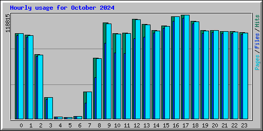 Hourly usage for October 2024