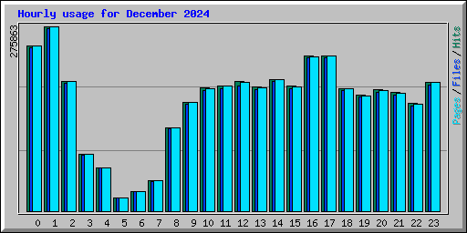 Hourly usage for December 2024