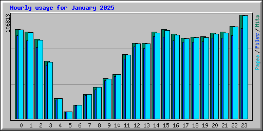 Hourly usage for January 2025