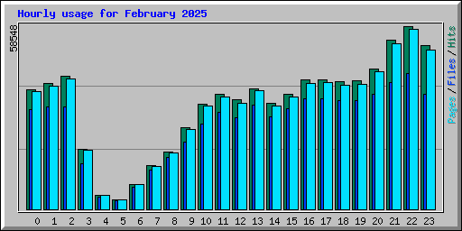 Hourly usage for February 2025