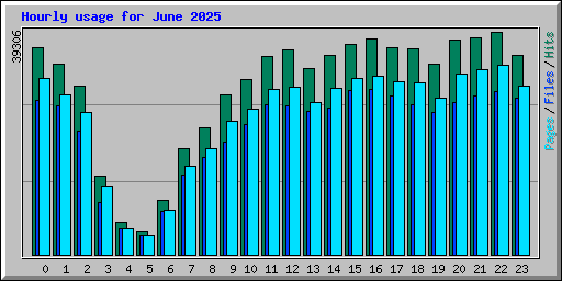 Hourly usage for June 2025