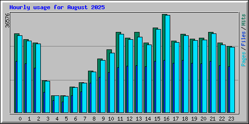 Hourly usage for August 2025