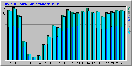 Hourly usage for November 2025
