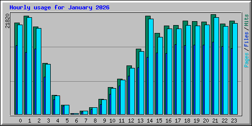 Hourly usage for January 2026