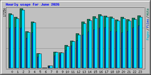 Hourly usage for June 2026