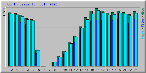Hourly usage for July 2026